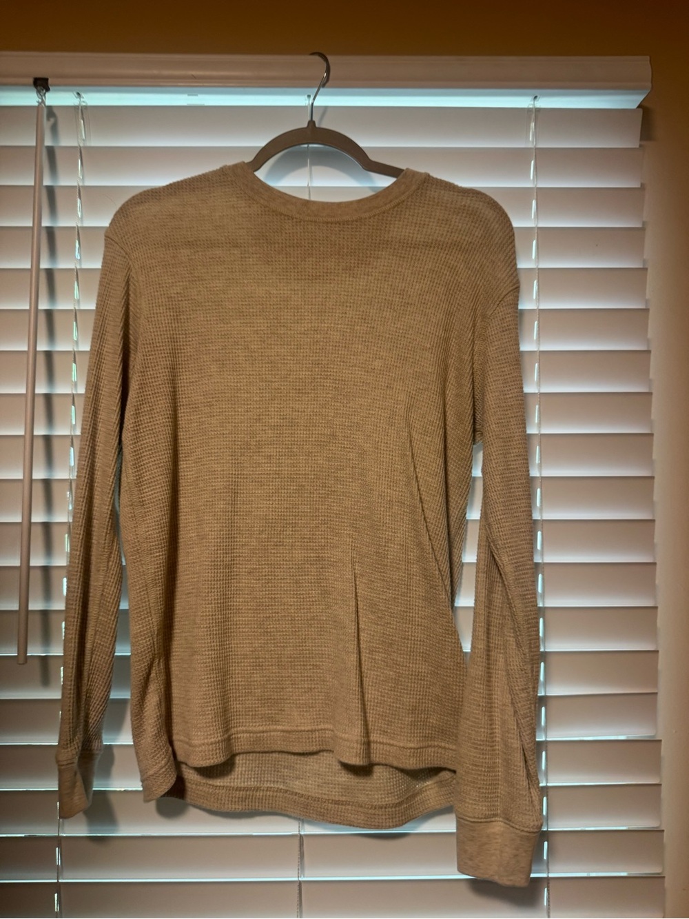 American Eagle Outfitters Long-Sleeve Waffle Crew in beige